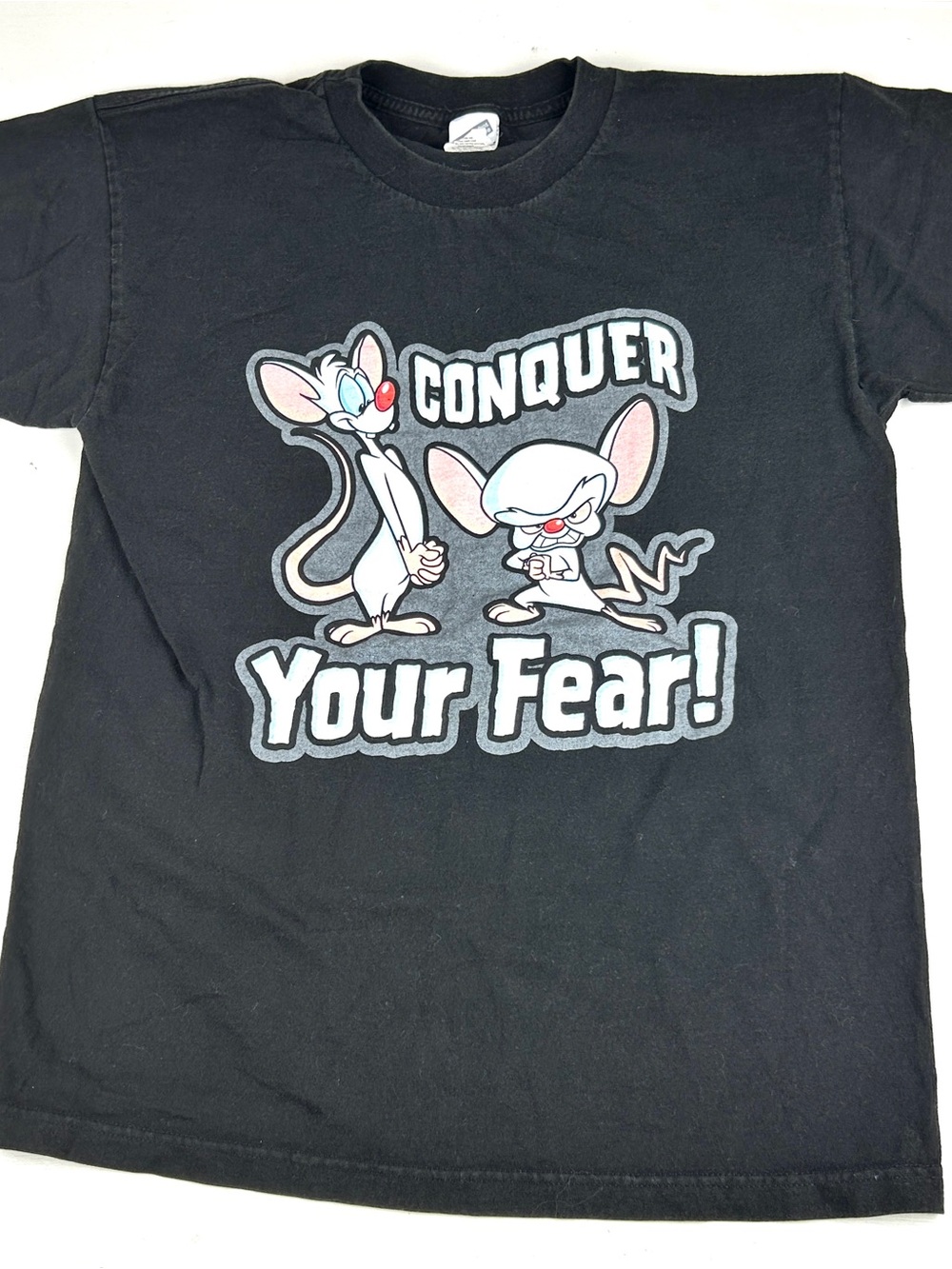VTG 90s Pinky And The Brain T Shirt Mens L “conquer Your Fear” Warner Bros Black